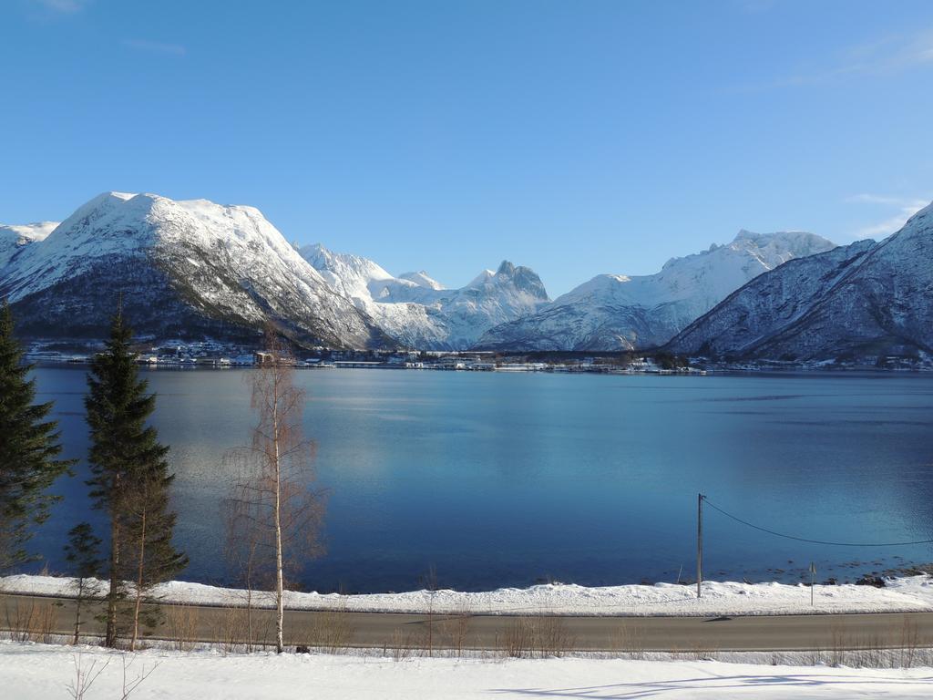 Villa Tindelykke Isfjorden Exterior foto